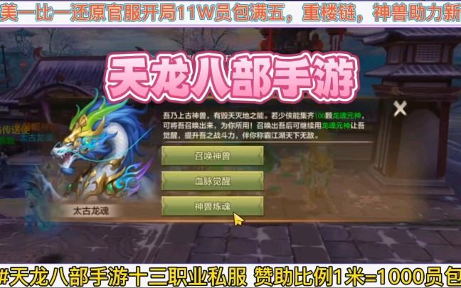 天龙八部私服玩法与升级攻略：体验热血江湖的全新挑战
