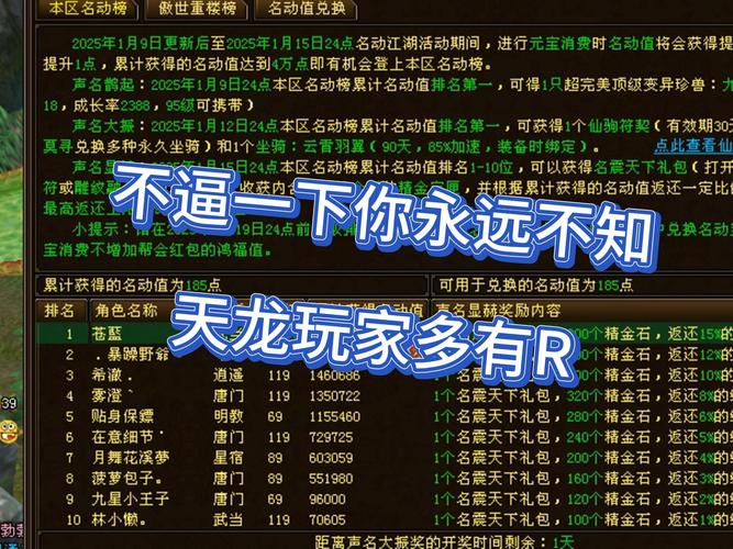 天龙私服兴起缘由与风险分析：未经授权的游戏体验与商业利益